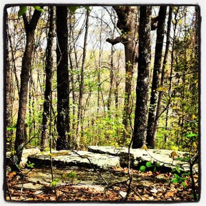 Pic courtesty of Molly