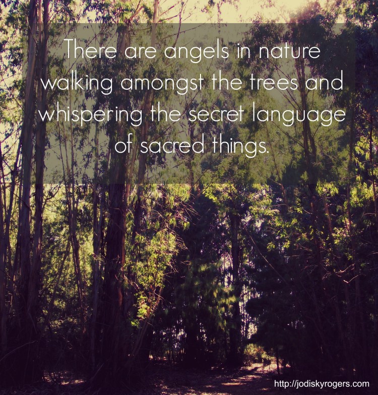 angels in nature