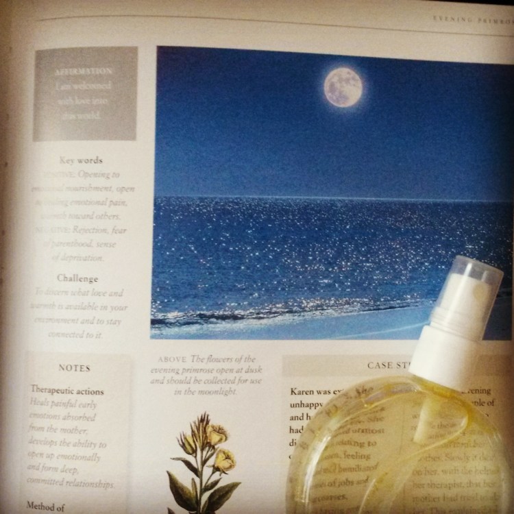 IMG_20150504_164523.jpg image