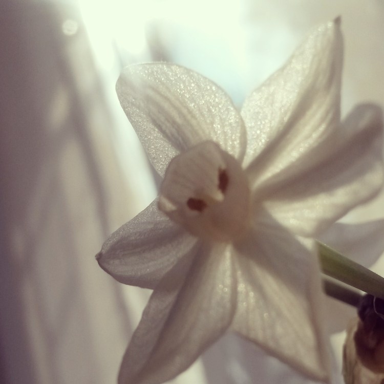 IMG_20150706_133020.jpg image