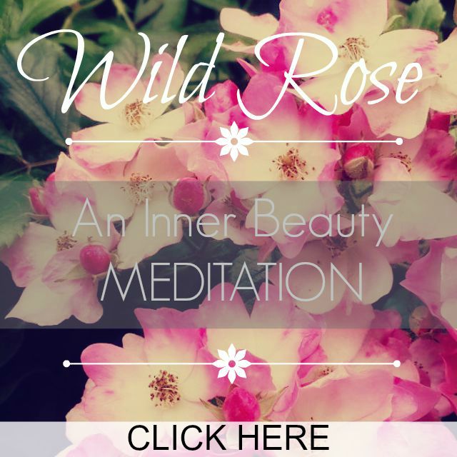 wild rose meditation click here