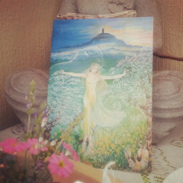 IMG_20150923_125344.jpg image