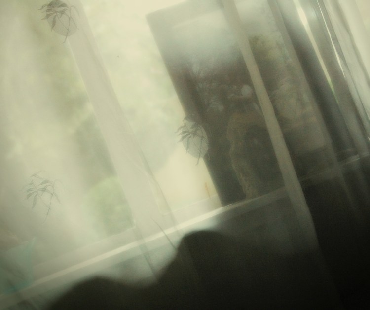 wedding pic on window sill